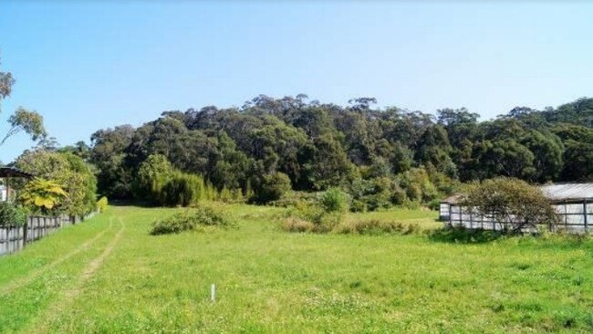 Vegetation on the subject site. Picture: Northern Beaches Council website