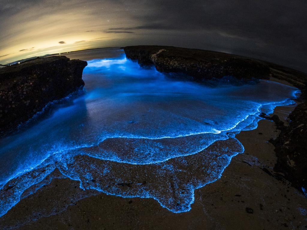 Electric Blue Beauty: Plankton Creates Magical Waters - 30A