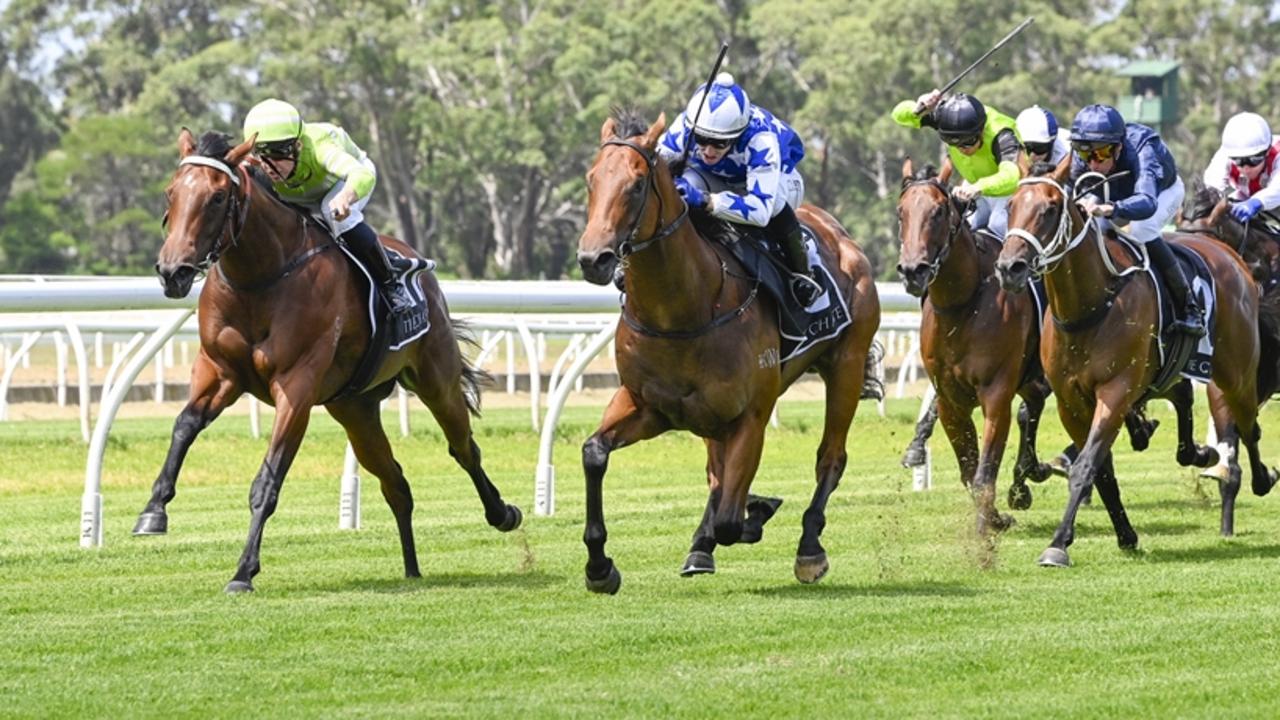 King Of Pop (blue) levels up to Savvy Hallie in the 2YO race at Warwick Farm on Wednesday. Picture: Bradley Photos