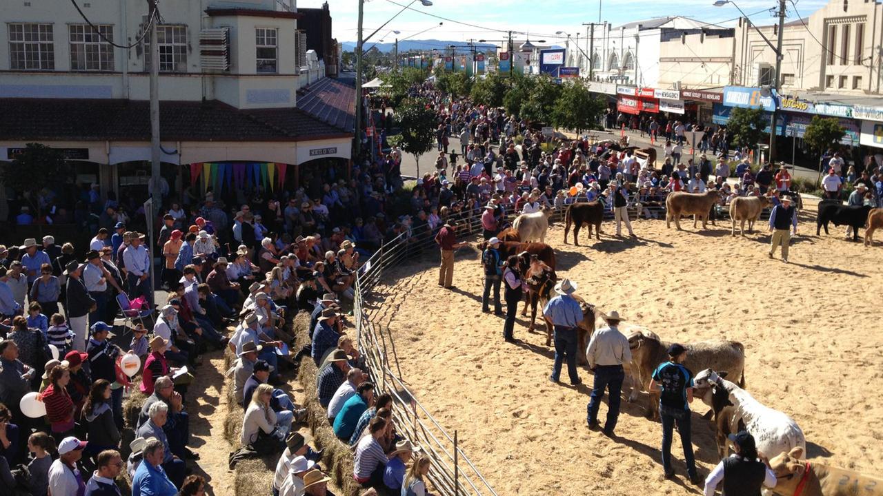 Crowds at Beef week in Casino 2019.