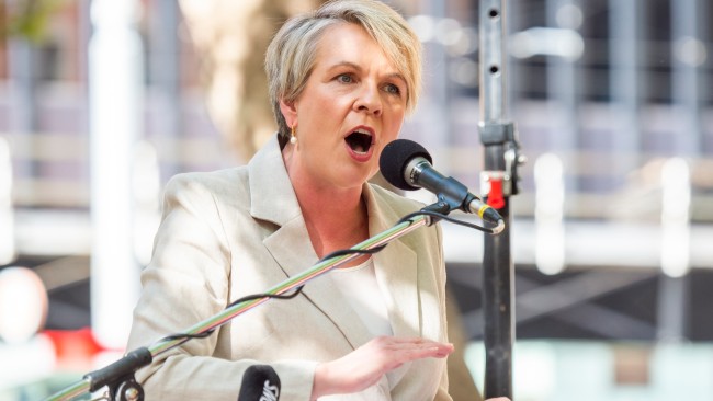Environment and Energy Minister Tanya Plibersek says the energy crisis has been brought on by the Coalition government. Picture: The Australian / Monique Harmer
