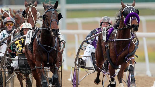 Harness racing on the track at Spreyton, Shelley Barnes (LHS) and Tessanzo on their way to victory in race one at Devonport. (RHS) Gareth Rattray and Bumble Don