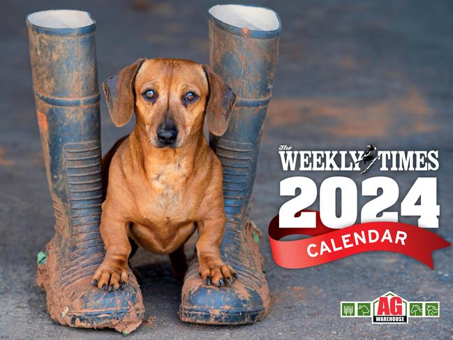 The Weekly Times 2024 Dog Calendar is on sale from October 25.