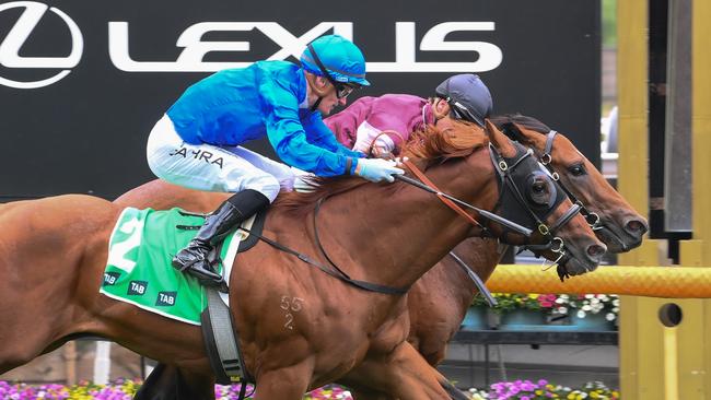 Shining Smile ridden by Daniel Stackhouse and Tentyris ridden by Mark Zahra dead heat for the win in the TAB Talindert Stakes at Flemington Racecourse on February 15, 2025 in Flemington, Australia. (Photo by George Sal/Racing Photos via Getty Images)