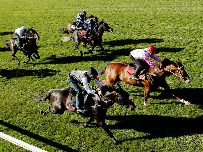 Flemington trackwork, (red cap) Top Dolly the Tommy Hughes trained wins the jump out  from Sweet As Bro. Melbourne. 22nd August 2014. Picture : Colleen Petch.