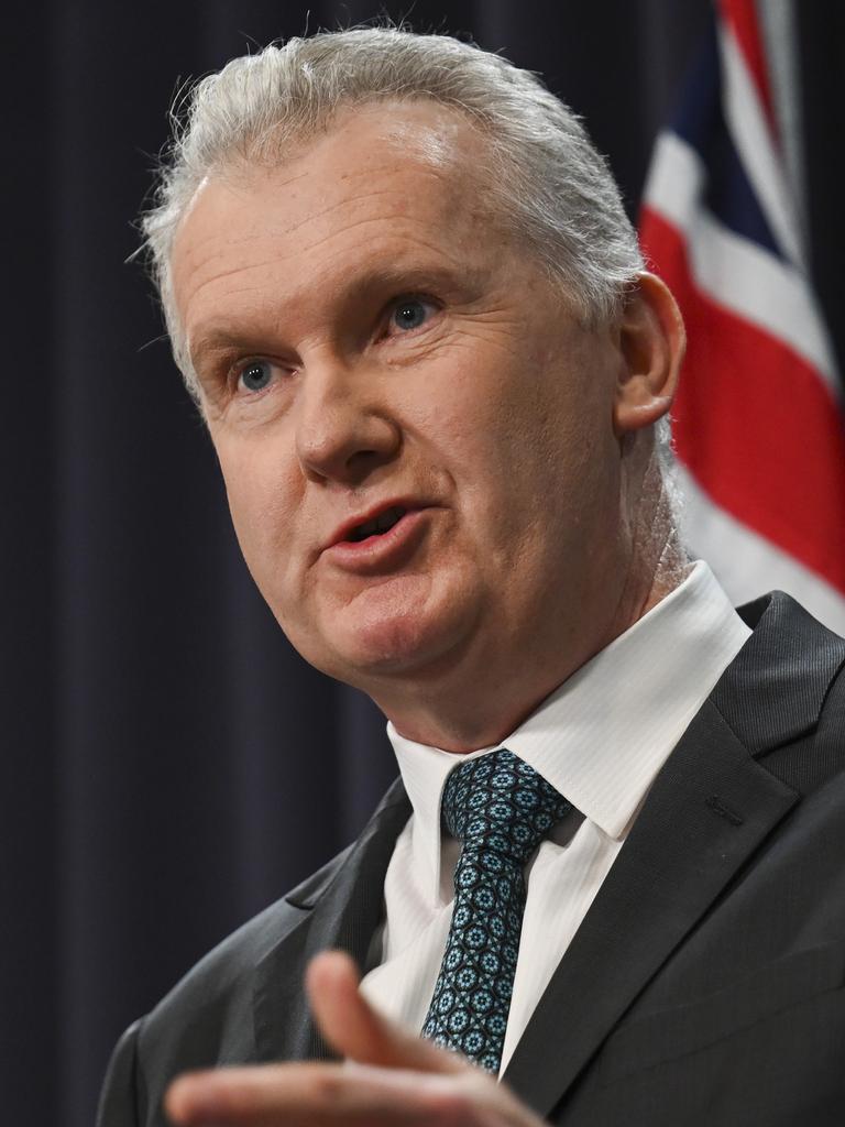 Employment and workplace relations minister Tony Burke looks set to be promoted in the PM’s cabinet reshuffle. Picture: NewsWire / Martin Ollman