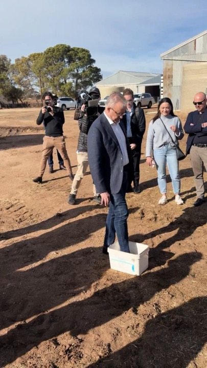 Albo jets into SA to make huge drought call