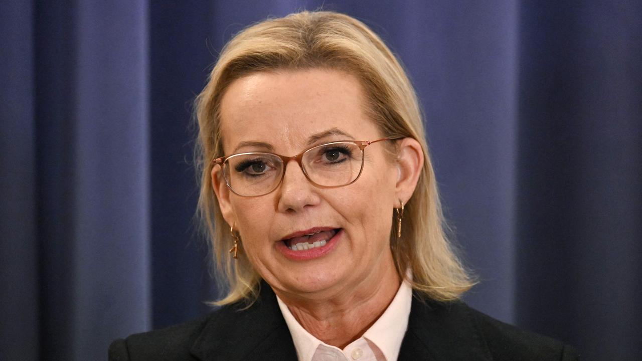 Ley backs Israel, distances herself from past pro-Palestinian views