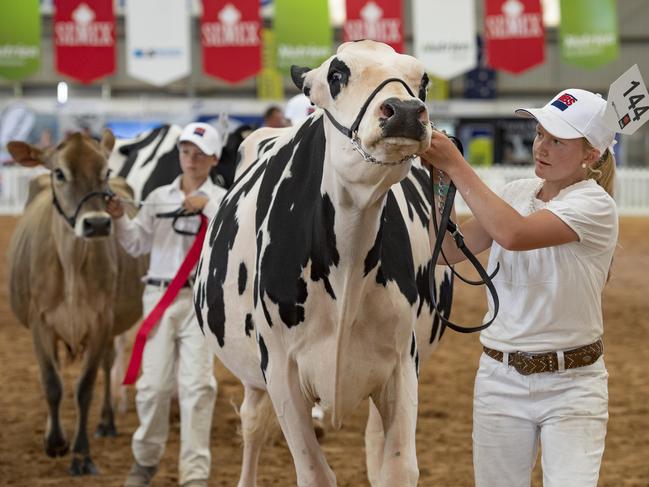 International Dairy Week. Shae Tweddle from Glencoe SA, won class 18. Picture: Zoe Phillips