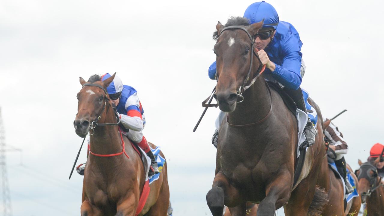 Neverenoughlego (left), pictured chasing home the smart Aleppo Pine on debut at Ballarat, will look to break his maiden at The Valley on Saturday. Picture: Brett Holburt / Racing Photos