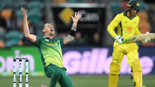 Dale Steyn celebrates the wicket of Australia's Alex Carey during the One-Day International match at Blundstone Arena on November 11, 2018. (AAP Image/Dean Lewins)