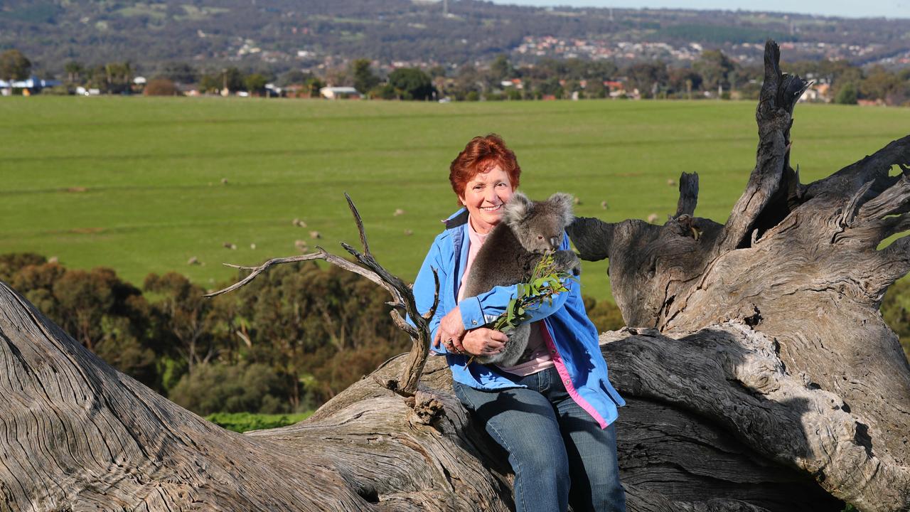 Friends of Glenthorne member Rae Campbell with local resident Honey at the Glenthorne Farm property that will form the hub of the new Glenthorne National Park. Picture: Tait Schmaal