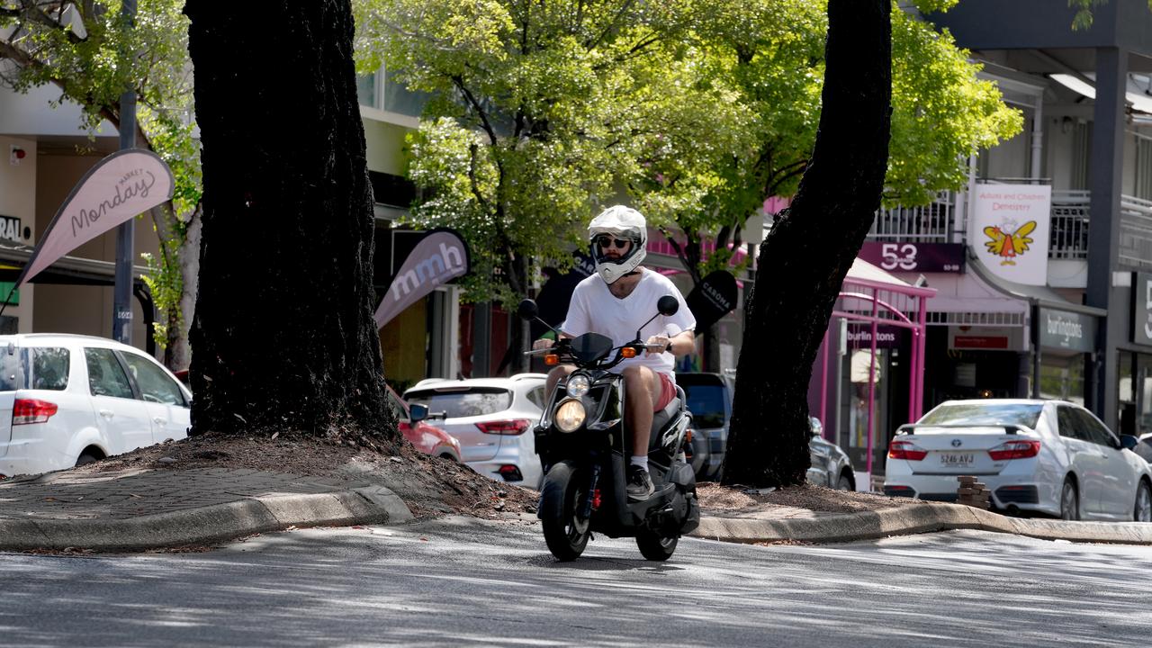 The roots have created a rollercoaster style experience for motorists. Picture: Dean Martin