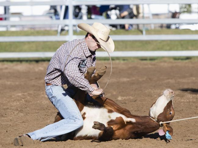 A petition with 60,000 signatures is calling for an end to calf roping in Queensland rodeos.