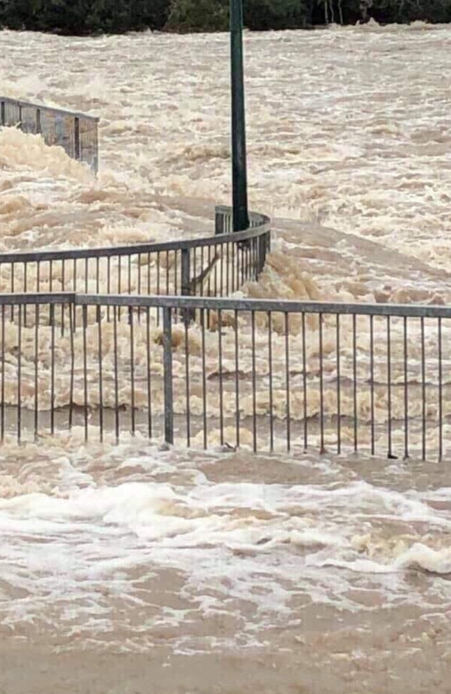 A crocodile pictured up against the railings at Aplins Weir.