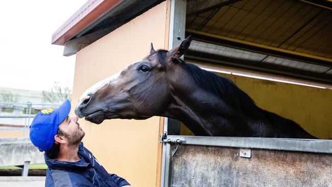 Gerald Ryan-trained Trapeze Artist gives his strapper Sam Phillips a kiss. Picture: Jenny Evans