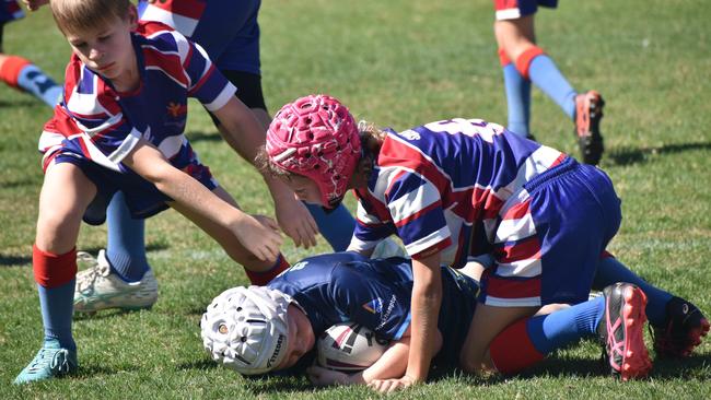 Capras Cup grand final, St Anthony's versus Sacred Heart Yeppoon, at Rockhampton's Rugby Park on August 17, 2024.