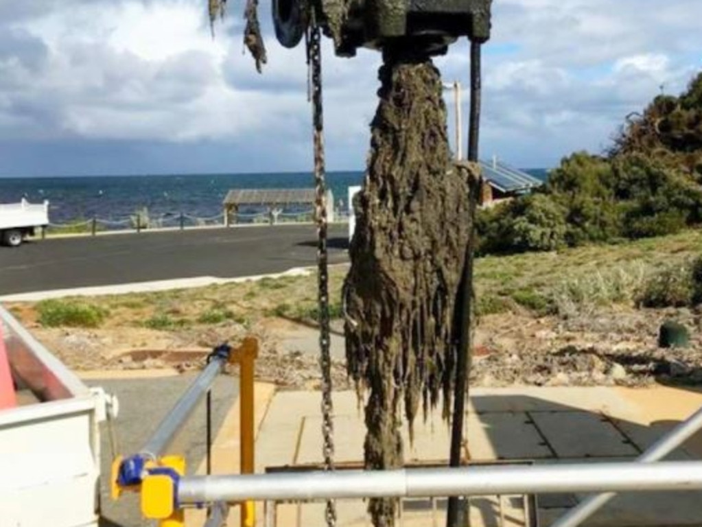Pictured here is a ‘fatberg’. It was unearthed from a sewer in the south coast town of Hopetoun, WA in 2020. Picture: Water Corporation