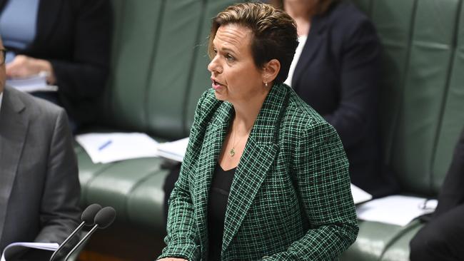 Communications Minister Michelle Rowland. Picture: NCA NewsWire / Martin Ollman