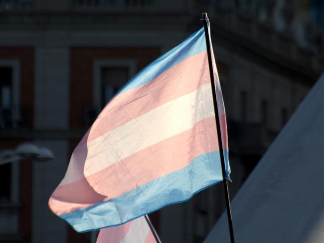 Transgender flag in the LGTB Pride Parade in Valencia ( spain