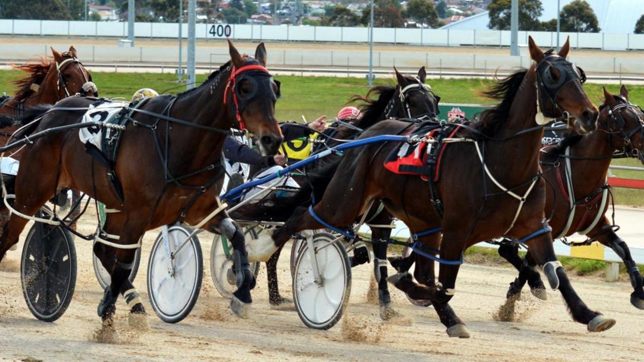 An independent investigation into harness racing in Tasmania has revealed shocking findings. File picture.