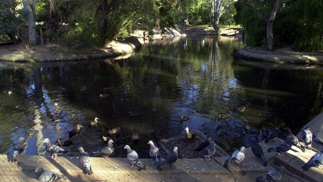 The duck pond at Kensington Gardens Reserve.