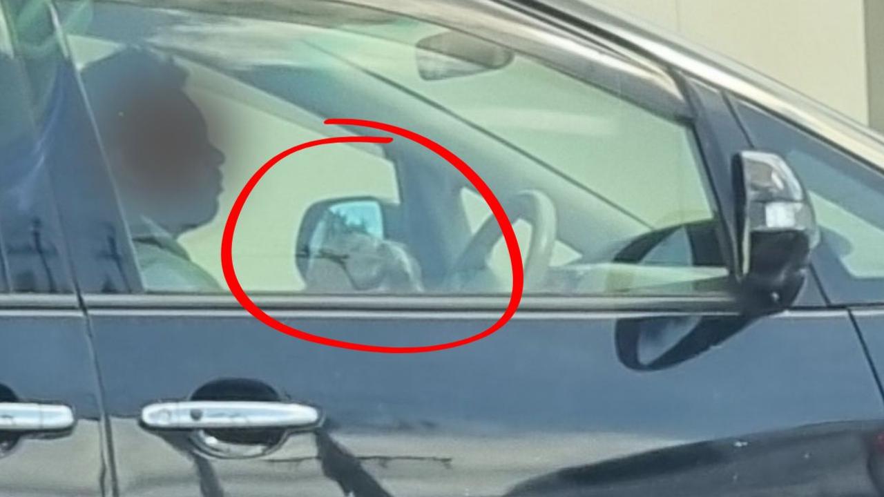 Man gets caught driving his car with a dog in his lap.