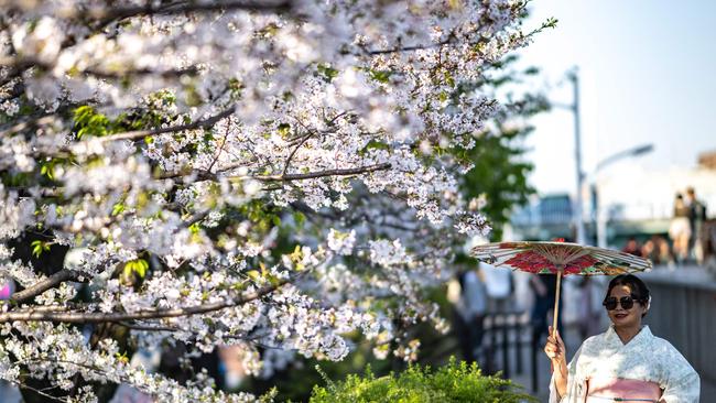 Sumida Park, near the famous tourism spot of Asakusa district in Tokyo.