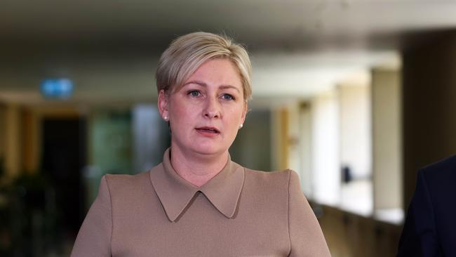 Queensland Minister for Families, Seniors and Disability Services Amanda Camm. Picture: Supplied