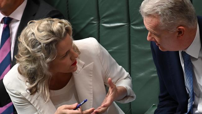 Housing Minister Clare O'Neil and Home Affairs and Immigration Minister Tony Burke. Picture: NewsWire / Martin Ollman