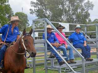 TESTING THE STANDS: Eidsvold Cattle Drive Committee members Ned Neumann, Lindsay and Roslyn Payne and Katherine Morice show off the new stands. Picture: Felicity Ripper