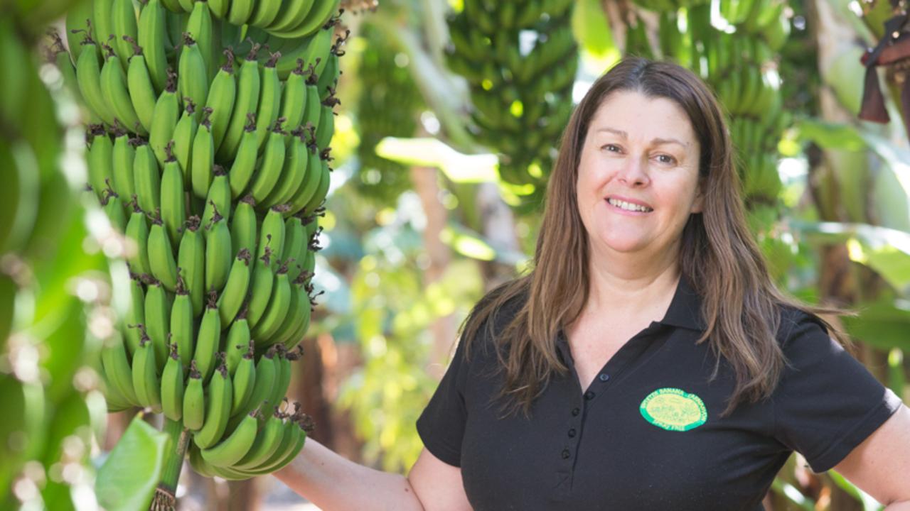 Slow and sweet co-operative approach to banana farming