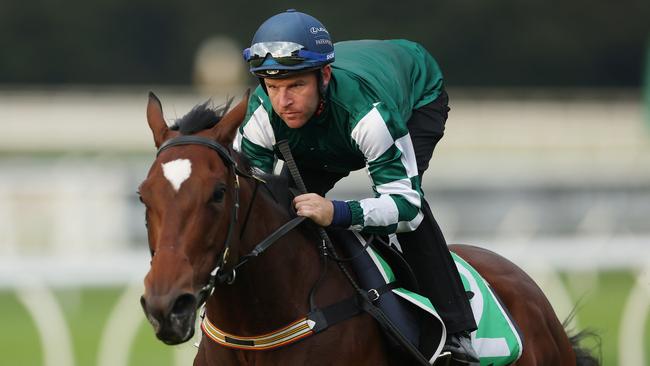 Tommy Berry riding Place Du Carrousel at trackwork on Tuesday. Picture: Mark Metcalfe/Getty Images