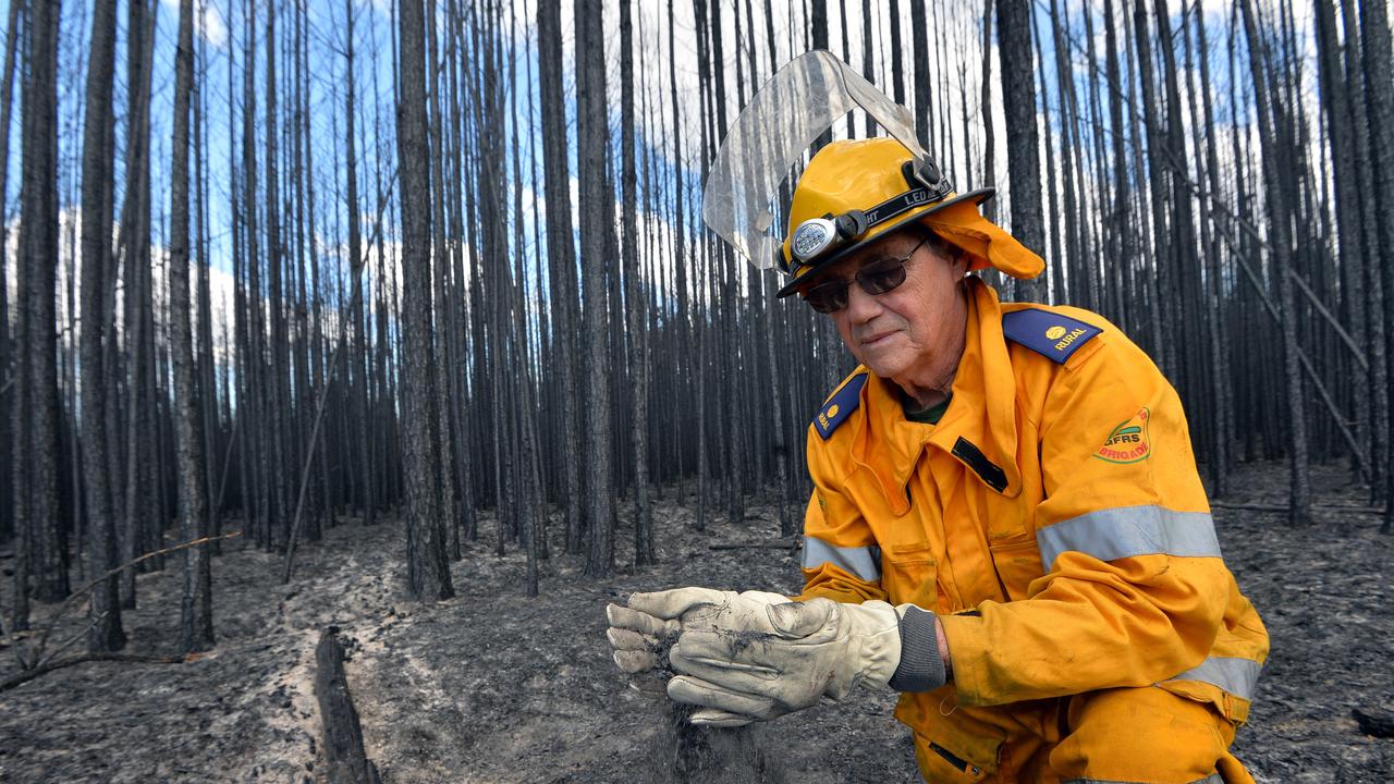 Caloundra South Bushfire: Report Reveals Factors Behind Blaze | The ...