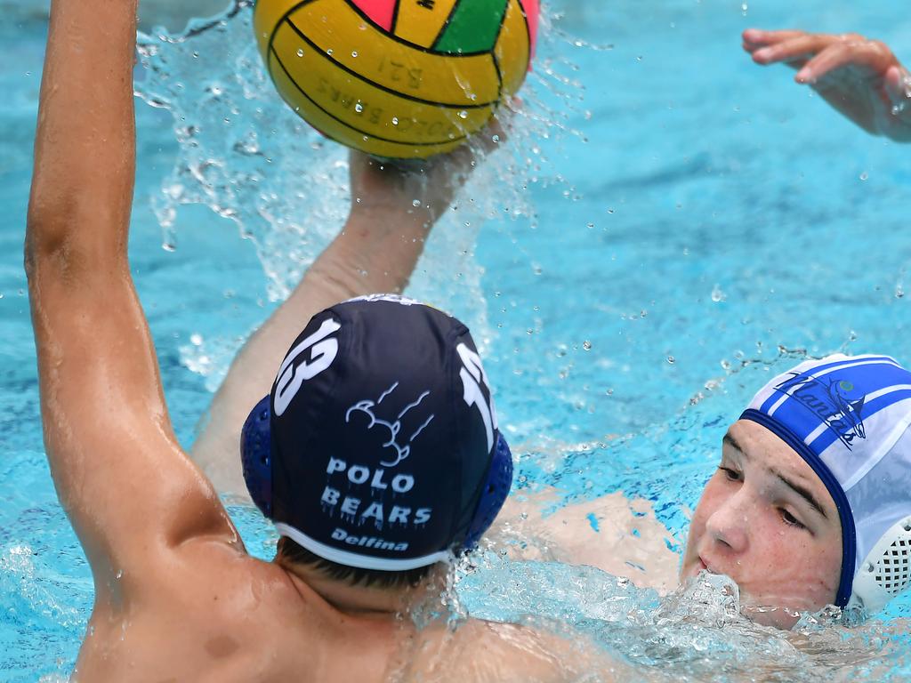 In Pictures Brisbane Water Polo Club Action Daily Telegraph