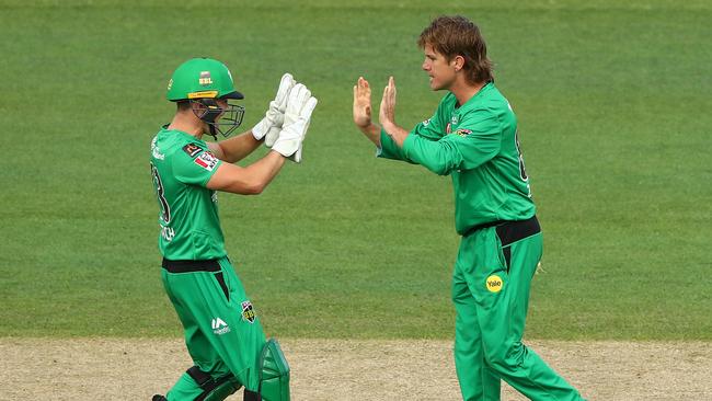 Adam Zampa celebrates a wicket with Stars keeper Seb Gotch.