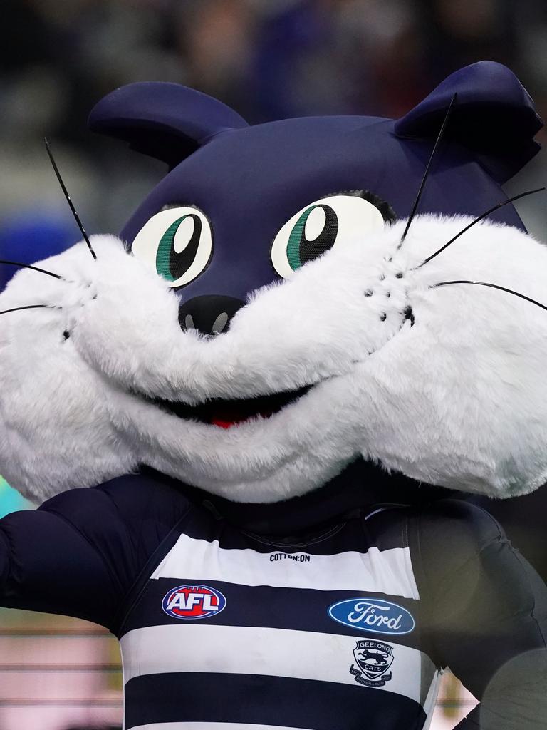 Afl 2020 Geelong Cats Holding Auditions For Next Mascots