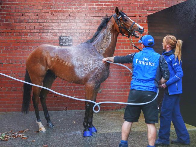 Hartnell has a wash after his morning workout. Picture: Colleen Petch