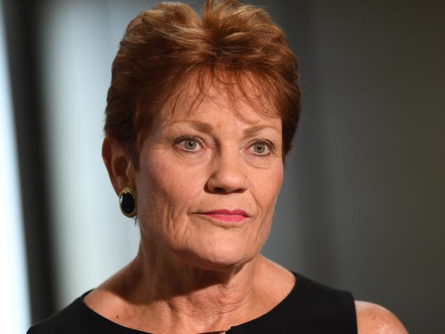 Senator Pauline Hanson at the Family Law Inquiry held at Rockhampton.