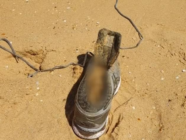 A foot belonging to Melissa Caddick washed up on a NSW south coast beach.