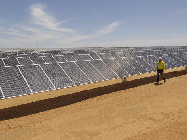 Merredin Solar Farm, Merredin (approx 250 km east of Perth WA). The biggest solar farm to date in WA with 250 ha solar panel footprint on 460 haPictured is Rod Cusbert, Construction Manager of Merredin Solar Farm Risen Energy Australia, with a section of the farm.PHOTO: MARIE NIRME