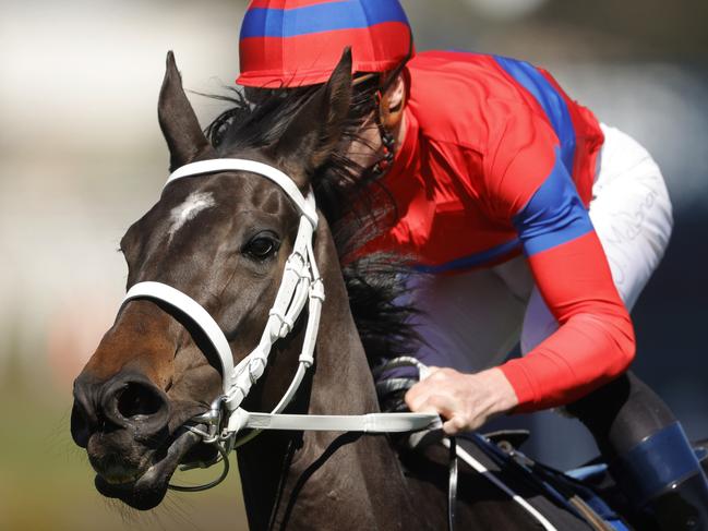 SYDNEY, AUSTRALIA - SEPTEMBER 12: James McDonald rides Verry Elleegant in an exhibition gallop during Sydney Racing at Rosehill Gardens on September 12, 2020 in Sydney, Australia. (Photo by Mark Evans/Getty Images)