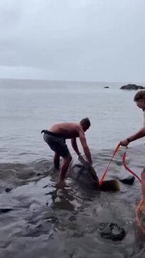 Monster grouper caught at Port Douglas