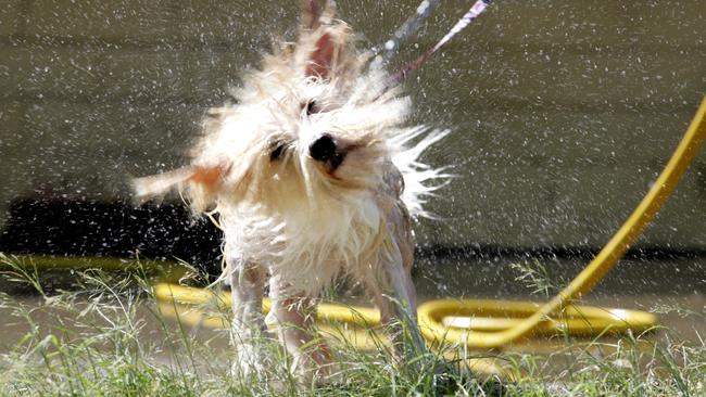 SA residents should drink plenty of water to cool off during the warmer weather. Picture: David Kelly