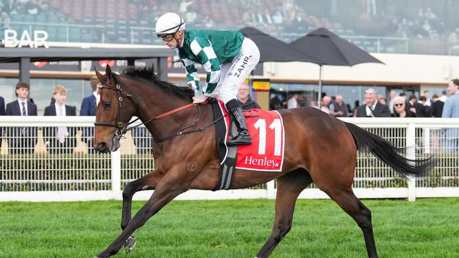 Place Du Carrousel (IRE) on the way to the barriers prior to the running of  the Henley Homes Underwood Stakes at Caulfield Racecourse on September 21, 2024 in Caulfield, Australia. (Photo by Scott Barbour/Racing Photos via Getty Images)