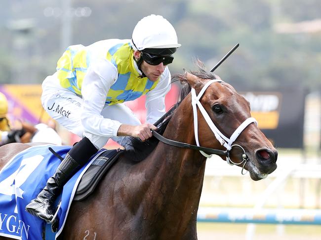 Lyrical Lad will chase a hat trick of wins when the Phillip Stokes-trained gelding steps out at Caulfield on Boxing Day. Picture : Racing Photos via Getty Images.