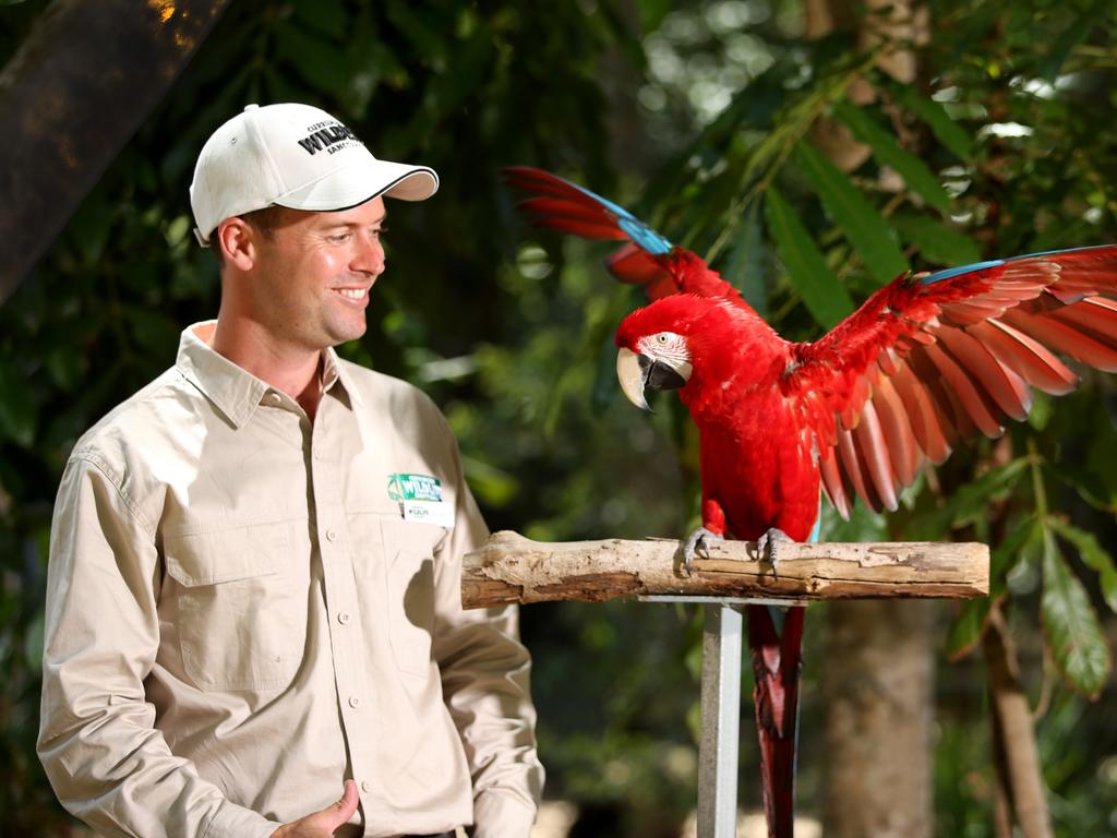 Currumbin Wildlife Sanctuary when it unveils its new free flight bird ...