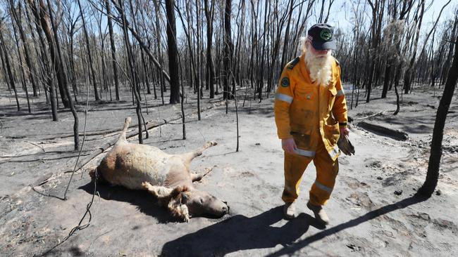 Ray Schultze at Cypress Gardens where animals perished. Photo: Annette Dew