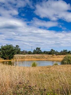 A Tyabb house where a body was found. Picture. Realestate.com.au