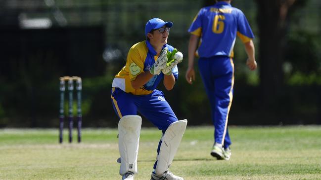 Belmont wicketkeeper Mace Carter. Picture: Michael Gorton